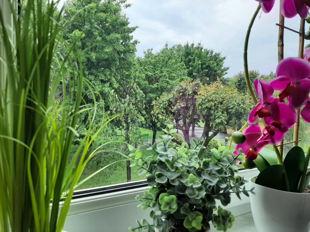 Apartament W Polanicy Appartement Polanica-Zdrój Buitenkant foto